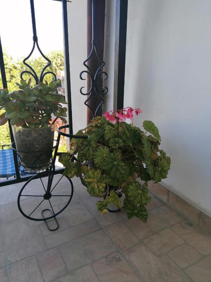Villa Steffi Golden Sands Exterior foto